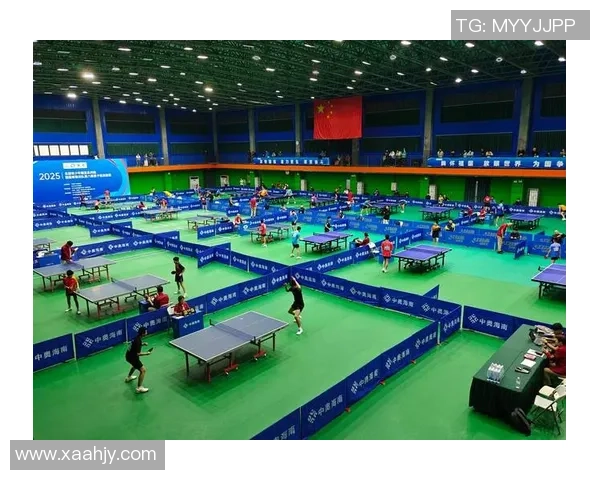 乒乓球专题：聚焦重庆乒乓球队的个人能力